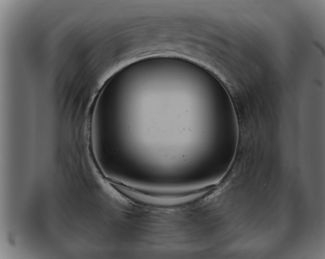 X0000091981526200709131402