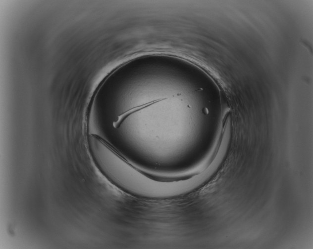 X0000091981527200709131402