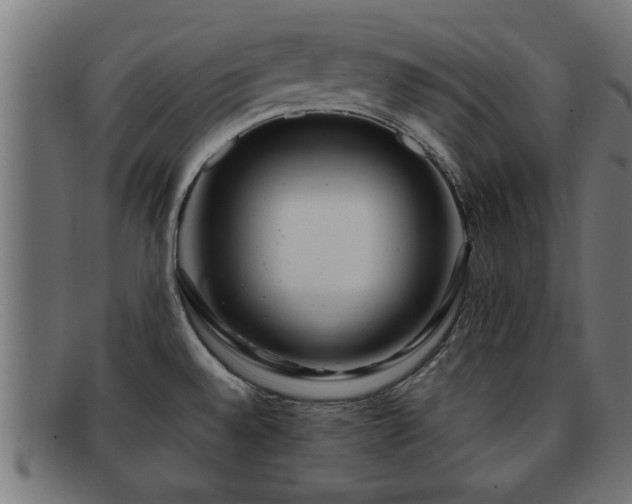 X0000091981528200709131402