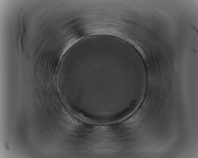 X0000091981529200709131402