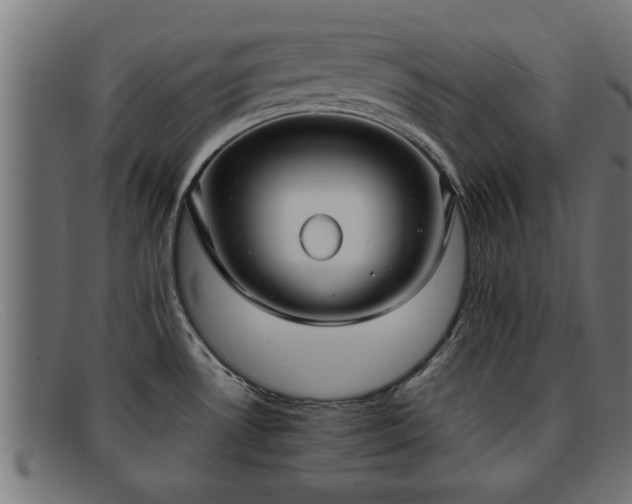 X0000091981530200709131402