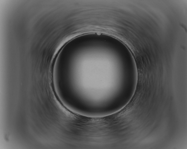 X0000091981531200709131402