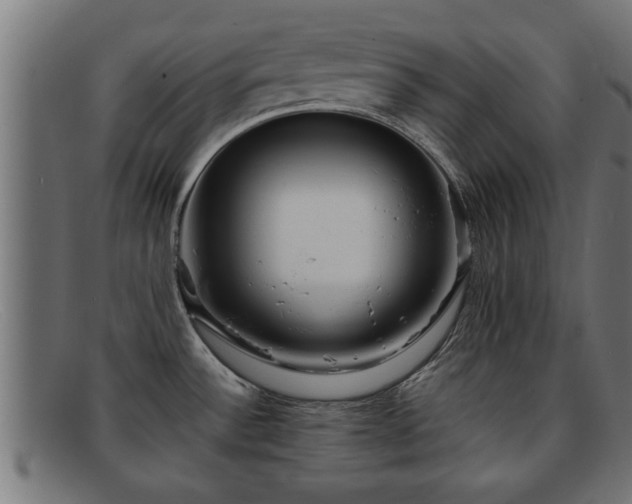 X0000091981532200709131402