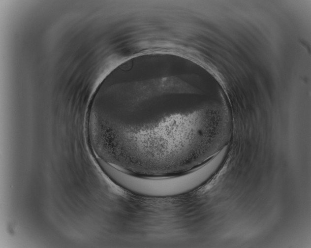 X0000091981533200709131402