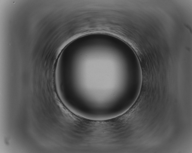 X0000091981534200709131402