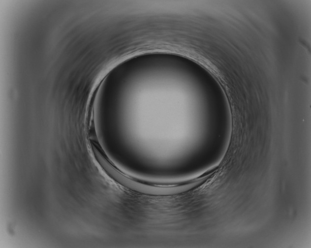 X0000091981536200709131402