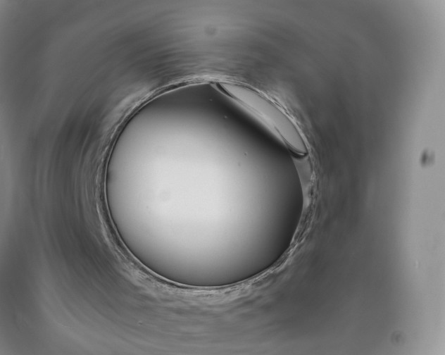 X0000091980001200709201436