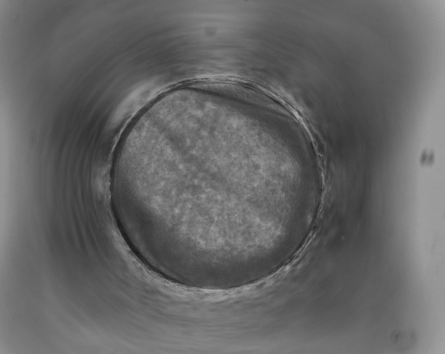 X0000091980002200709201436