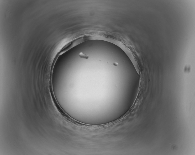 X0000091980003200709201436