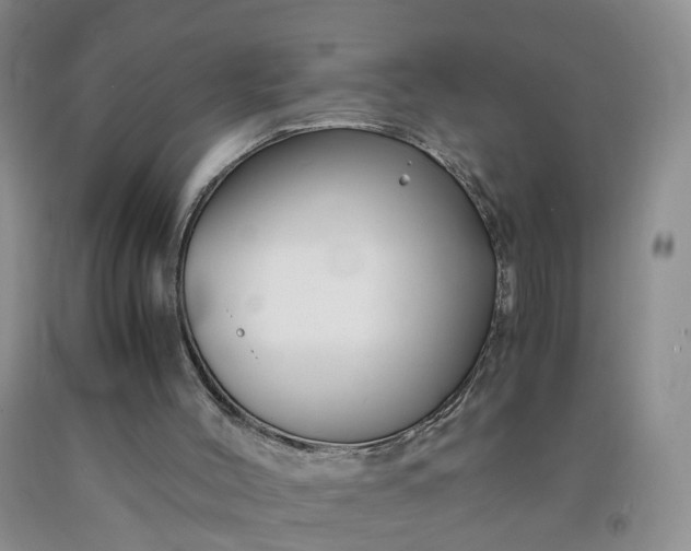 X0000091980004200709201436