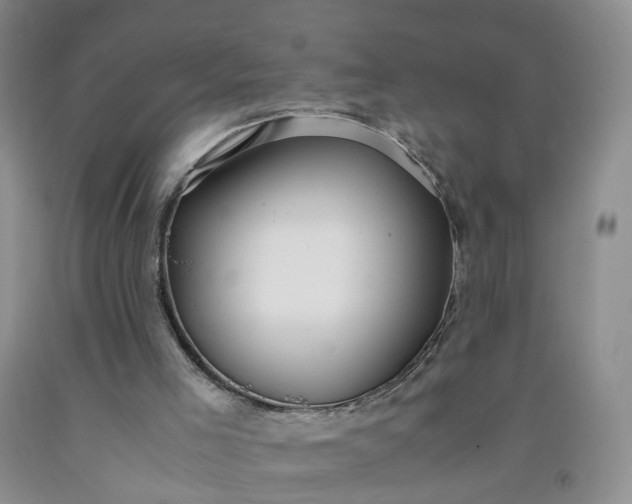 X0000091980005200709201436