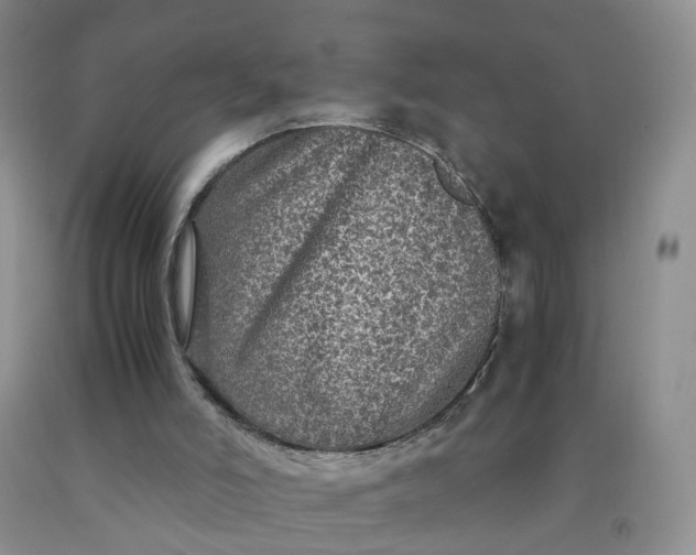 X0000091980006200709201436