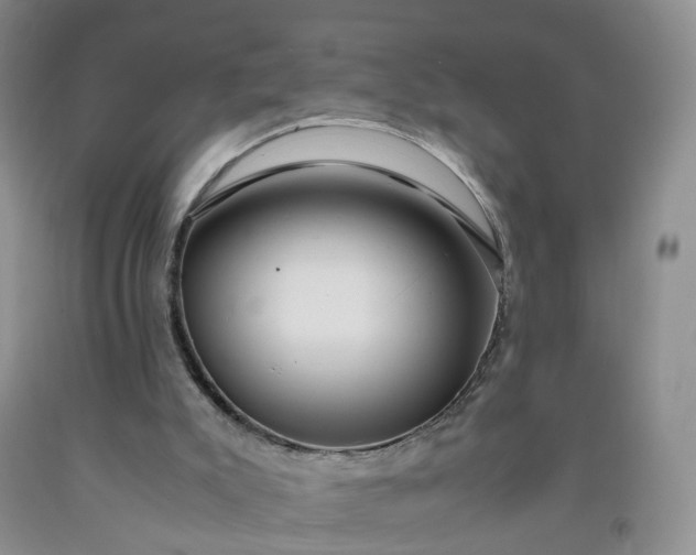 X0000091980007200709201436