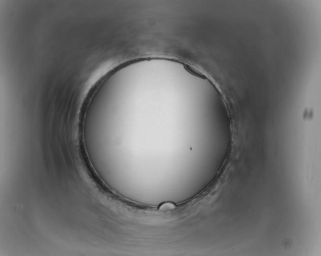 X0000091980008200709201436