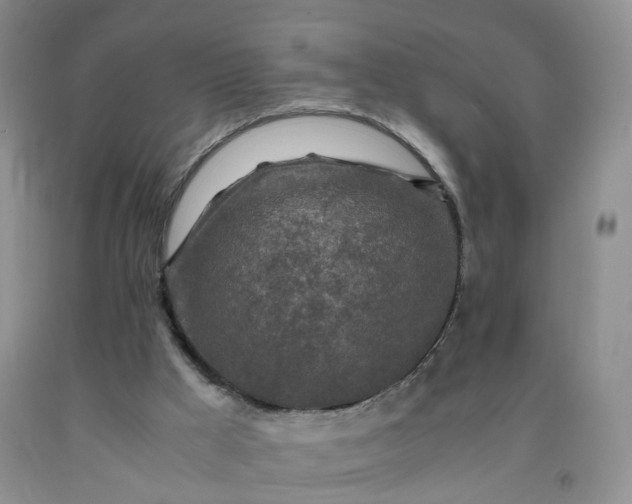 X0000091980009200709201436