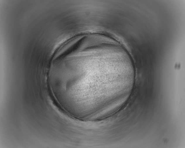 X0000091980010200709201436