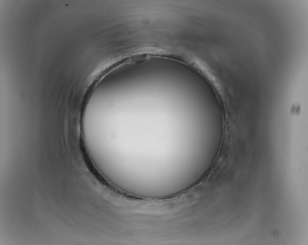 X0000091980011200709201436