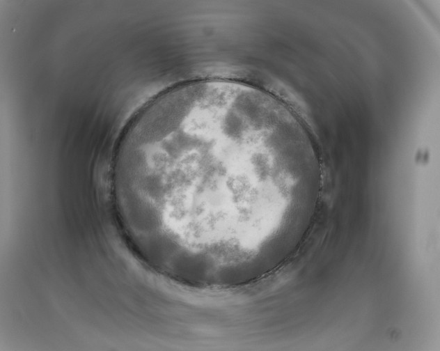 X0000091980012200709201436