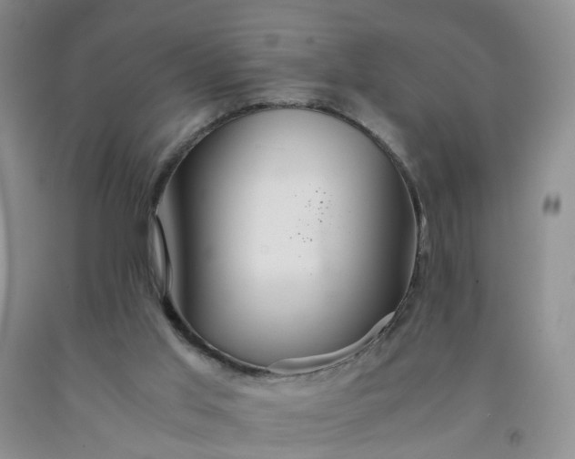 X0000091980013200709201436