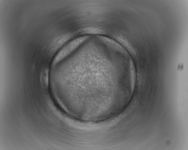 X0000091980014200709201436