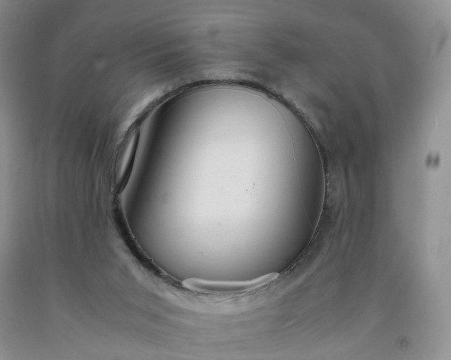 X0000091980015200709201436