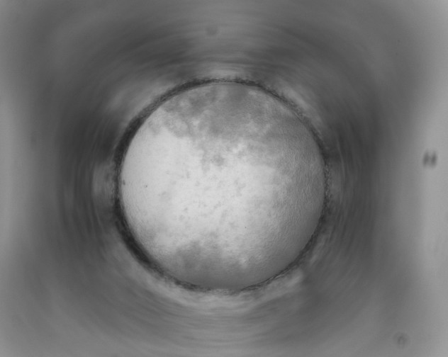 X0000091980016200709201436