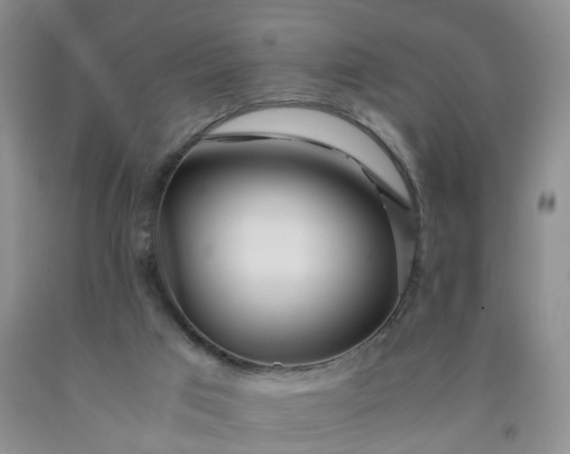 X0000091980017200709201436