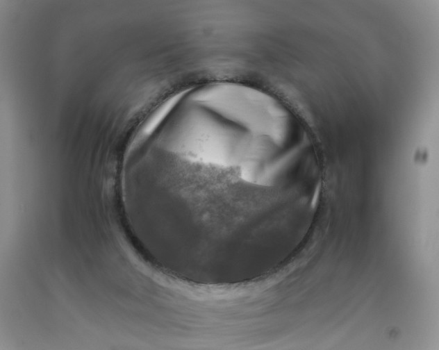 X0000091980018200709201436