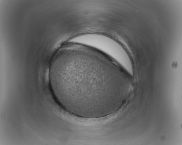 X0000091980019200709201436