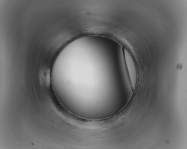 X0000091980020200709201436