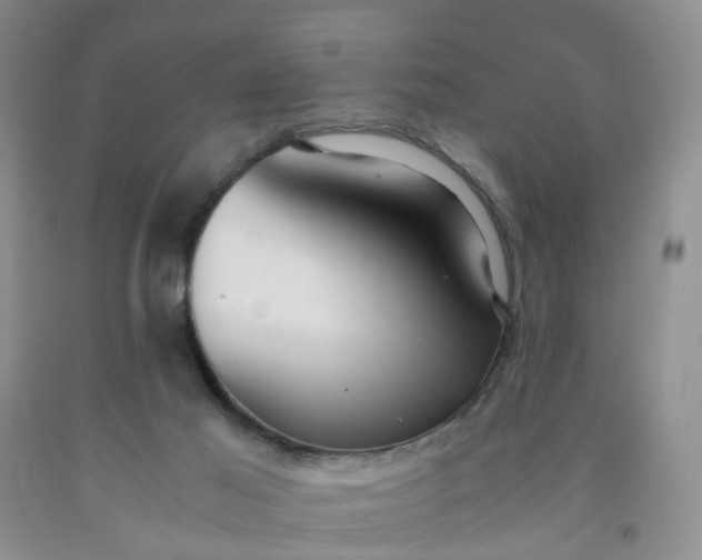 X0000091980021200709201436