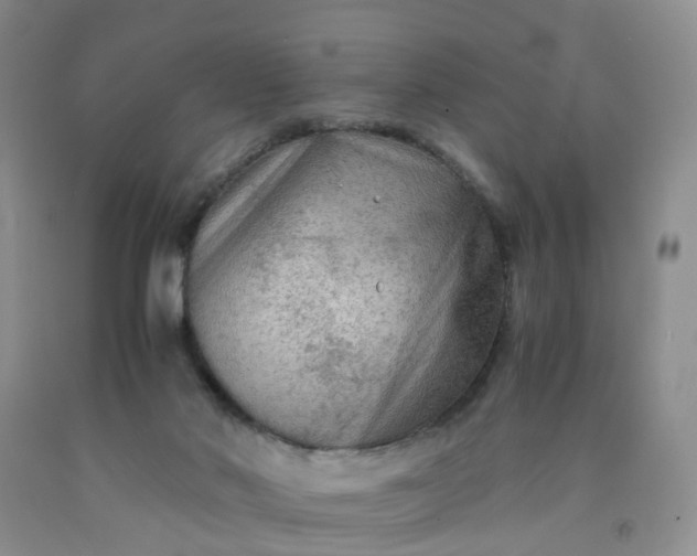 X0000091980022200709201436