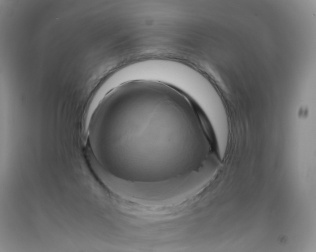 X0000091980023200709201436