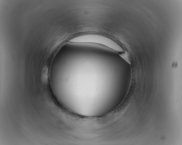 X0000091980024200709201436