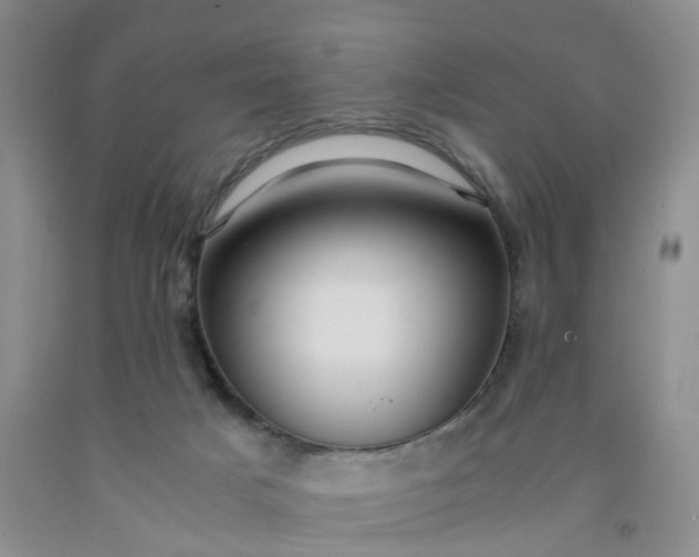 X0000091980025200709201436