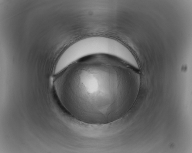 X0000091980027200709201436