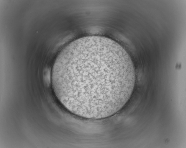 X0000091980028200709201436