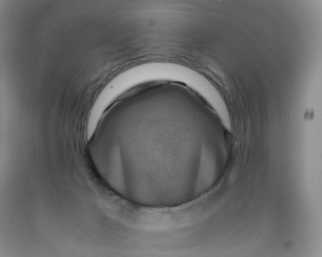 X0000091980029200709201436