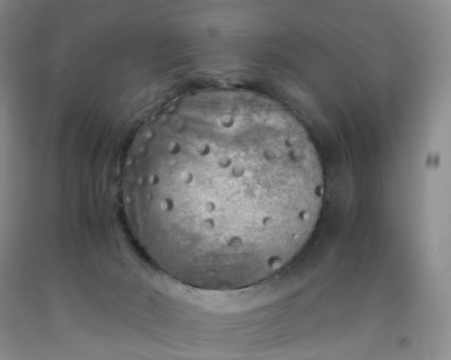 X0000091980030200709201436