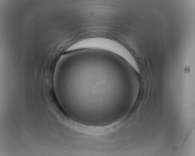 X0000091980031200709201436