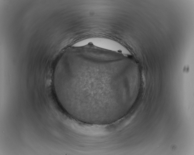 X0000091980032200709201436