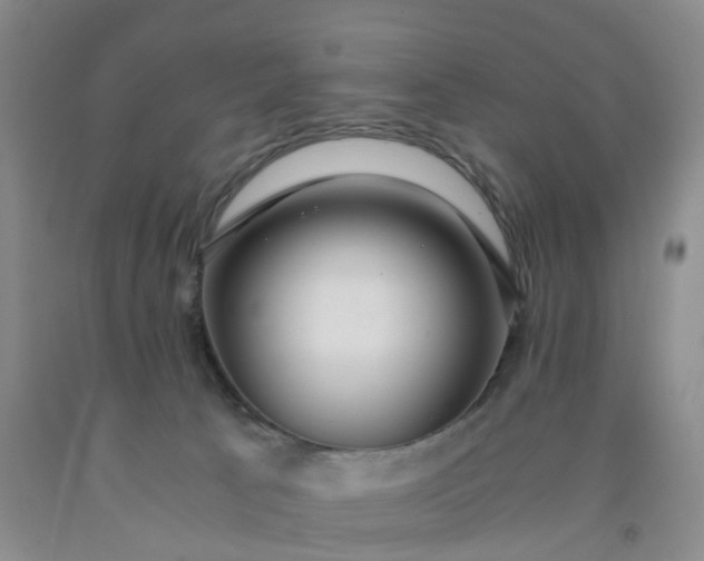 X0000091980033200709201436