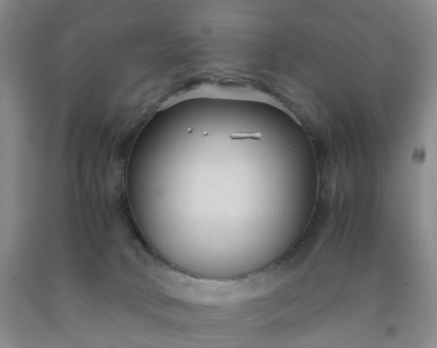 X0000091980034200709201436