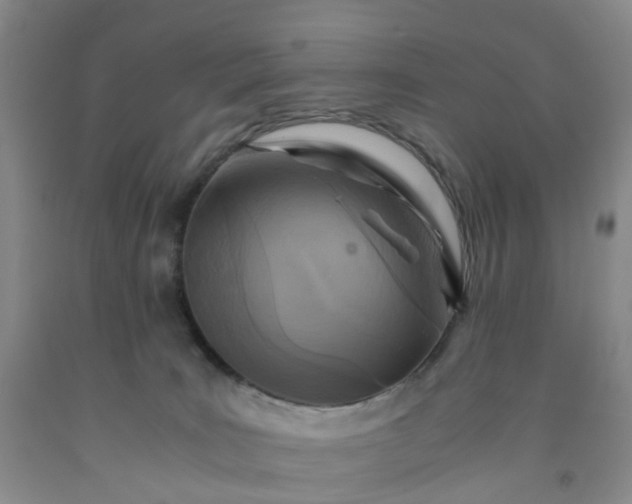 X0000091980035200709201436