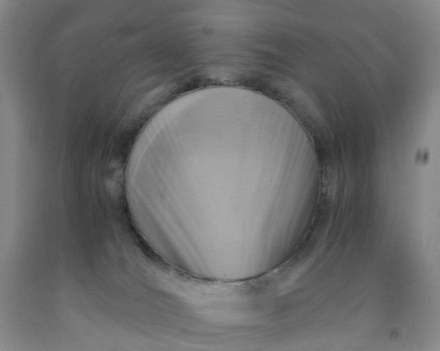 X0000091980036200709201436