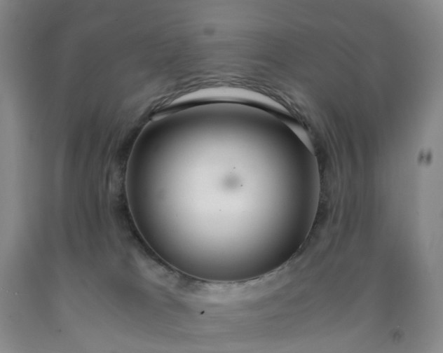 X0000091980037200709201436