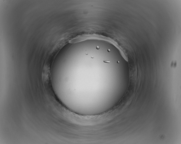 X0000091980038200709201436