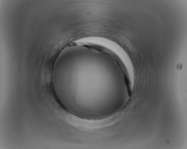 X0000091980039200709201436