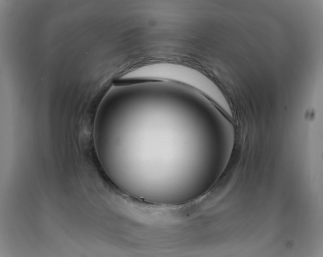 X0000091980040200709201436