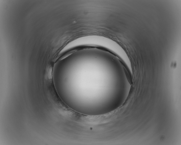 X0000091980041200709201436